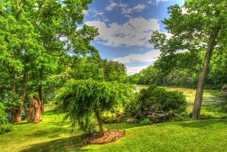 Formal Garden Trees by Robert Goldwitz art print