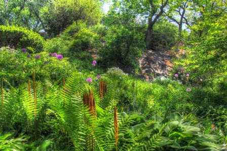 Garden Hillside by Robert Goldwitz art print