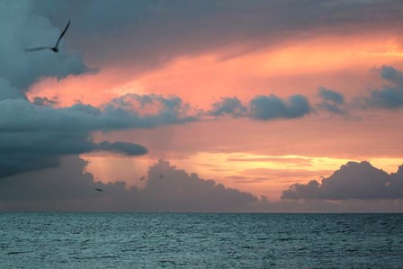 Key West Sunset IV by Robert Goldwitz art print