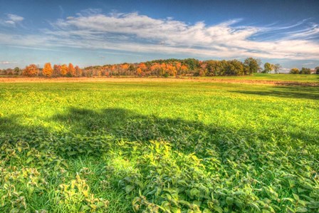 Meadow Early Autumn by Robert Goldwitz art print