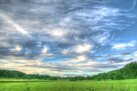 Meadow Midday by Robert Goldwitz art print