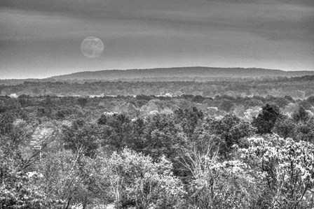 Moonrise B&amp;W by Robert Goldwitz art print