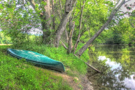 Streamside Green Canoe by Robert Goldwitz art print