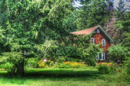 Pine Tree and Cottages by Robert Goldwitz art print