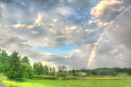 Rainbow and Heron by Robert Goldwitz art print