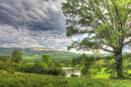View from the Oxbow by Robert Goldwitz art print