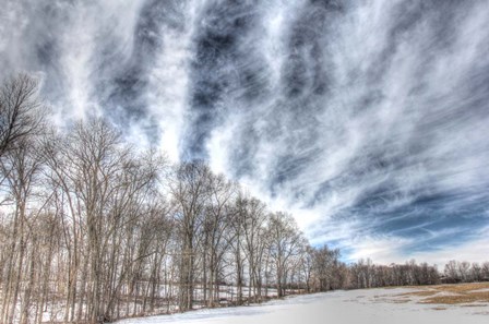 Winter Treeline by Robert Goldwitz art print