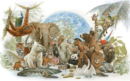 Animal Kingdom by Tim Knepp art print