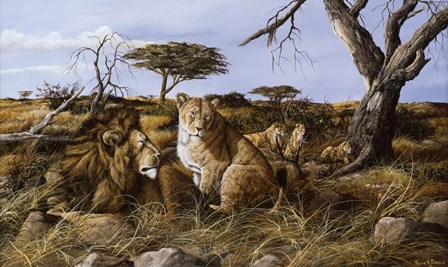 Lazy in the Grass by Trevor V. Swanson art print