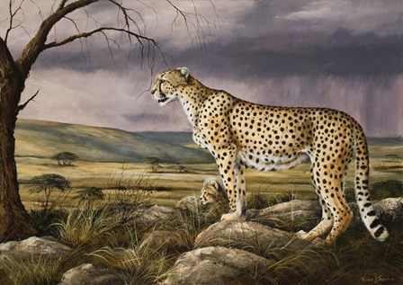The Overlook by Trevor V. Swanson art print