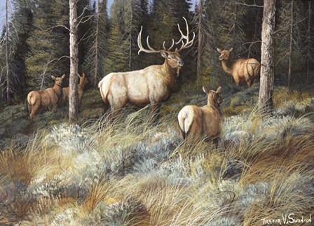 Moving In To Cover by Trevor V. Swanson art print