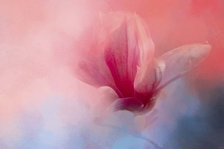 Spring Tulip Magnolia by Jai Johnson art print