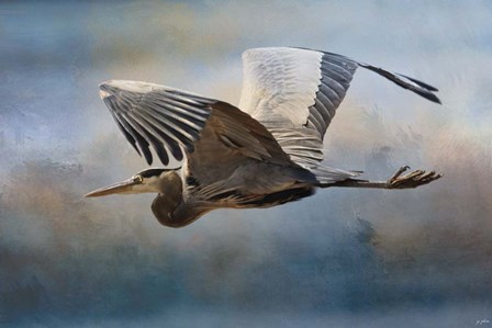 Over Ocean Skies by Jai Johnson art print