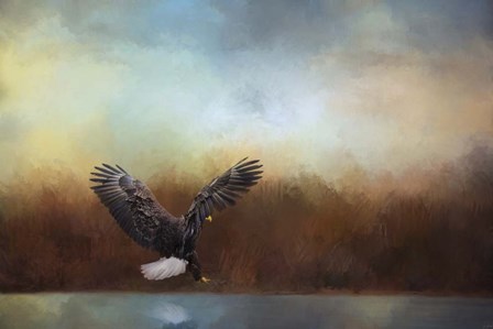 Eagle Hunting In The Marsh by Jai Johnson art print