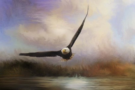 Eagle In The Marsh by Jai Johnson art print