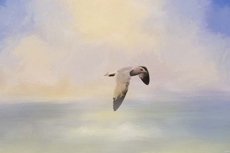 Foggy Morning At Sea by Jai Johnson art print
