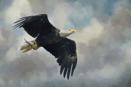 Fish In The Talons by Jai Johnson art print