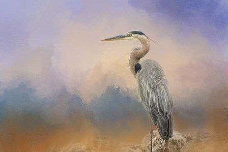 Heron On The Rocks by Jai Johnson art print