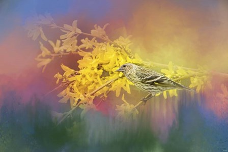 Jewel In The Garden by Jai Johnson art print