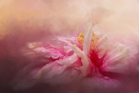 Rain Diamonds by Jai Johnson art print