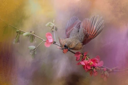 Spring Cardinal 2 by Jai Johnson art print