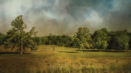 Tennessee Countryside by Jai Johnson art print