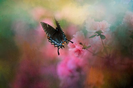Garden Friend 1 by Jai Johnson art print