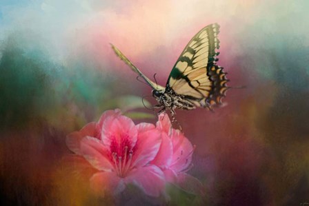 Garden Friend 2 by Jai Johnson art print