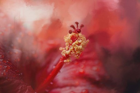 Glorious Bloom by Jai Johnson art print