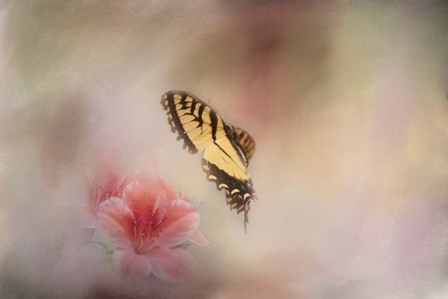 A Whisper Of Yellow by Jai Johnson art print