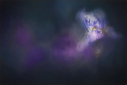 Iris Whisper by Jai Johnson art print