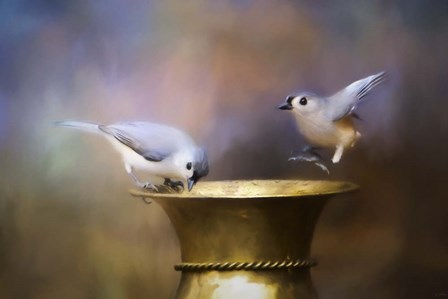 Afternoon Playtime by Jai Johnson art print