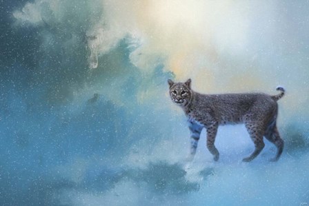 Winter Bobcat by Jai Johnson art print