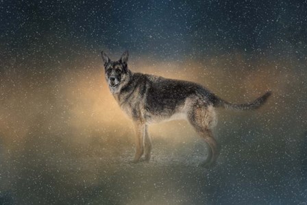 Winter Shepherd by Jai Johnson art print