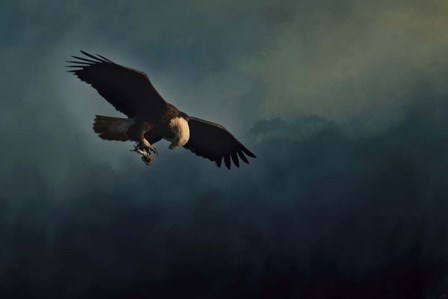 Fishing At Dusk by Jai Johnson art print