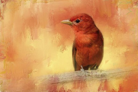 Summer Red by Jai Johnson art print