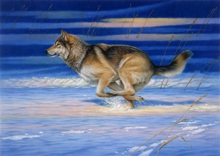 Snow Beat by John Naito art print