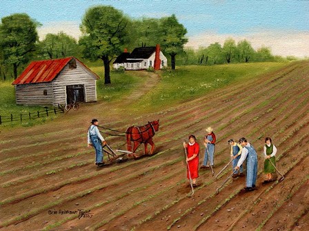 Choppn' Cotton 2 by Arie Reinhardt Taylor art print