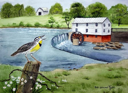 Meadowlark and Murray's Mill by Arie Reinhardt Taylor art print