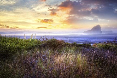 Seastacks At The Dunes by Celebrate Life Gallery art print