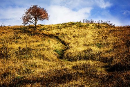 The Challenge by Celebrate Life Gallery art print