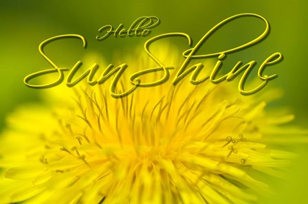 Hellow Sunshine by Cora Niele art print