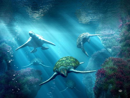 Turtle Alley by Daniel Eskridge art print