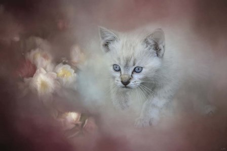 A Sweet Moment 3 by Jai Johnson art print