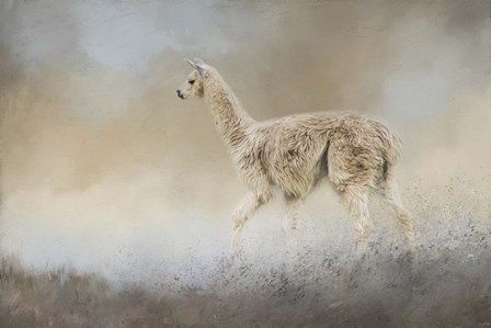 Seeking by Jai Johnson art print