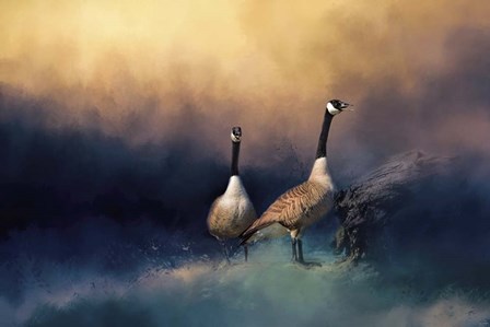 Stranded by Jai Johnson art print