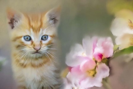 Sweetness In A Small Package by Jai Johnson art print