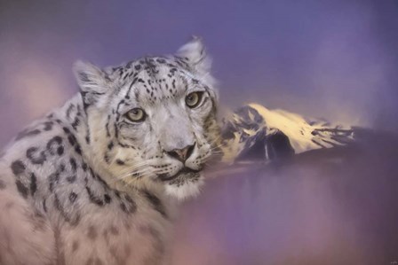 Mountain Guardian by Jai Johnson art print