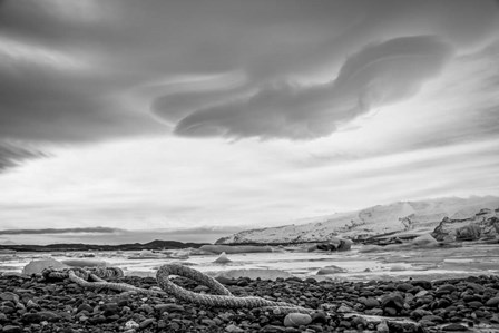 Rope by Kimberly Glover art print