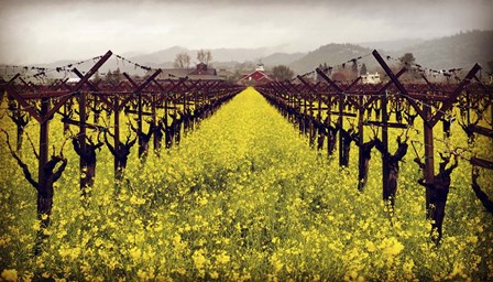 Frog's Leap by Lance Kuehne art print